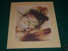 David Bowie - OUTSIDE signed artwork