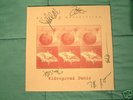 AUTOGRAPHED Widespread Panic Bombs&Butterflies LP