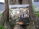 THE HONEYBUS  uk lp STORY mint condition 