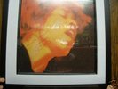 JIMI HENDRIX ELECTRIC LADYLAND FRAMED SIGNED VINYL LP