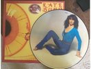 Kate Bush Rare Kick Inside Picture Disc Album