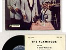 FLAMINGOES 7” EP top rank PICTURE SLEEVE HOLLAND