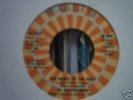 Al Foster Band - The Night Of The Wolf 7