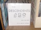 Descendents RIDE THE WILD Orig 7