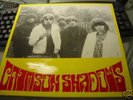 80'S GARAGE: THE CRIMSON SHADOWS 