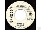 Soul Funk 45: Honey & The Bees ARCTIC 149