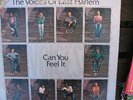 Voices Of East Harlem- Classic 70's Soul LP - Rare Orig