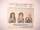 BEACH BOYS HONEYS SWANEE RIVER PICTURE SLEEVE AND 45