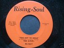RARE FUNK 45 - U-F-O's (Rising Soul)