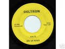BED OF ROSES:Michigan Garage Folk Punk 45- Dylan Cover