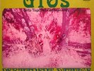 GTO'S girls together outrageously PERMANENT DAMAGE LP