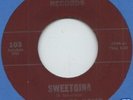 THINGS TO COME Sweet Gina RARE FUZZ GARAGE 45