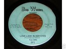 Falcons NORTHERN SOUL 45 Love Look in Her Eyes / In Tim