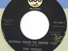 NORTHERN SOUL / SOUL : The Trends on ABC