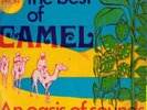 CAMEL BEST OF OASIS OF SOUND LP PAMA  SKA ROCK STEADY