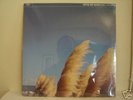 Jimmy Eat World - Static Prevails LP - STILL SEALED