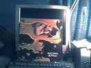 BUFFALO DEAD FOREVER AUSSIE VERTIGO KILLER PROG PSYCH