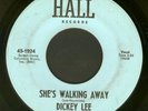 DICKEY LEE 1965 TN GARAGE FOLK PUNK ROCKABILLY POUNDER