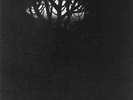 Amazing private Xian psych folk LP  Trees : Christ Tree