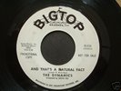 Rare Northern Soul  45 - DYNAMICS (Big Top)