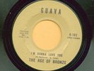Northern Soul  45 RPM The Age Of Bronze on Guava 102