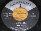 Ann Byers NORTHERN SOUL 45 Here I Am / If You Want to