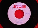 Monster  Texas 60s Garage--Modulation Corp.-- Atom 1001