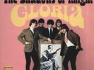 SHADOWS OF KNIGHT gloria orig 1966 garage psych punk
