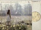 CATHERINE HOWE what a beautiful place RARE FOLK