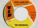UNDERDOGS LOVES GONE BAD  FREAKBEAT PSYCH GARAGE ROCK