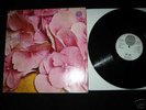 STILL LIFE - STILL LIFE  LP orig. 1970  SWIRL VERTIGO