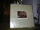 Ben Harper Pleasure and Pain LP  Super Rare