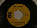 The Nervous Breakdown - I Dig Your Mind