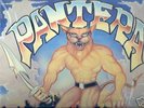 PANTERA - 1st  four  l.p.'s   Dimebag killer guitar