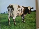 Pink Floyd 1970 Atom Heart Mother  UK prog LP MINT