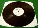 PJ Harvey -  Rid of Me -  Test Pressing LP