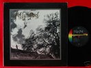 FOLLY'S POOL 1977 CA PRIVATE RURAL PROG PSYCH LP RARE