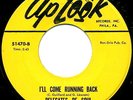 DELEGATES OF SOUL = I'll Come Running Back  (RARE ORIG)