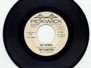 RARE Pre VU LOU REED Primitives Ostrich Sneaky Pete 45
