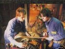 WHITE STRIPES the upholsterers 7