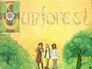 SUNFOREST: Sound of