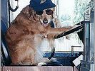 ^HAPPY HARDCORE^75 TOP TUNES^ 1 PACK^ALL LISTED^MINT^