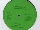 Natural Order - Jealousy - Modern Soul - Disco 12