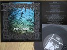 JUDGEMENT - PROCESS 7