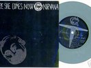 NIRVANA MELVINS split 7