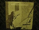 Bermuda Triangle: S/T Super Rare Private Psych LP(1977)