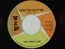 RICK ROBIN AND HIM (VIP 45) CAUSE YOU KNOW ME  (Motown)