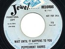 Northern Soul - R & B  -  Peppermint Harris