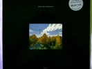 BLACK DOG BYTES 2LP BRONZE VINYL plaid warp aphex afx