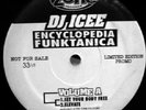 DJ ICEE - Encyclopedia Funktanica - Rare Zone 12